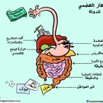 كاريكاتير ايامه حجاج - الجهاز الهضمي للدولة