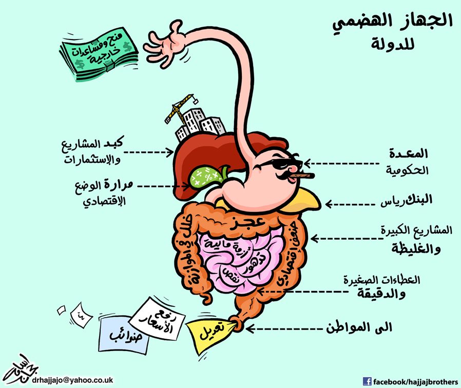 كاريكاتير ايامه حجاج - الجهاز الهضمي للدولة