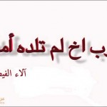 آلاء الفيضي